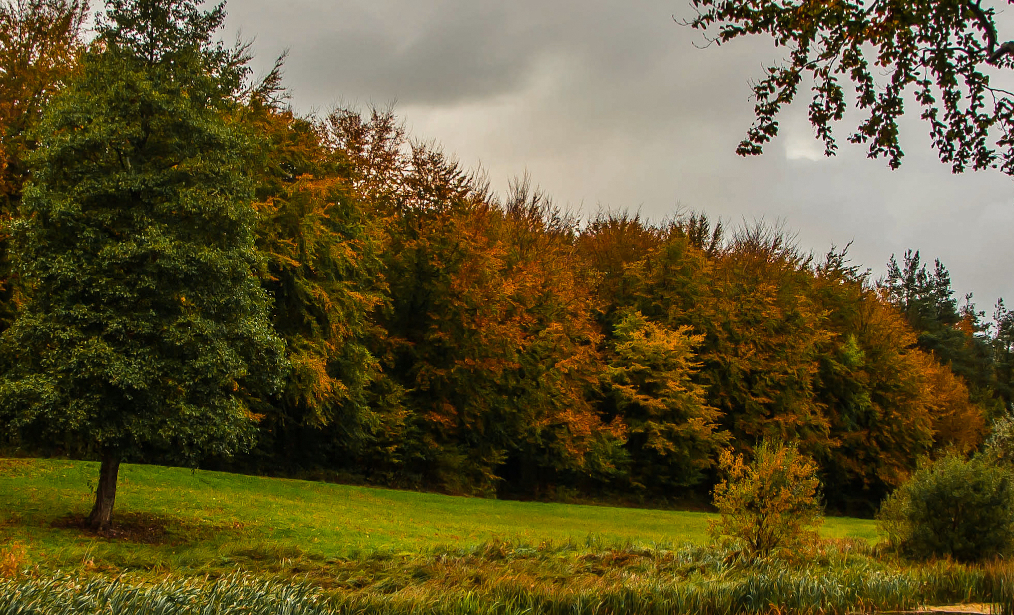 October Image