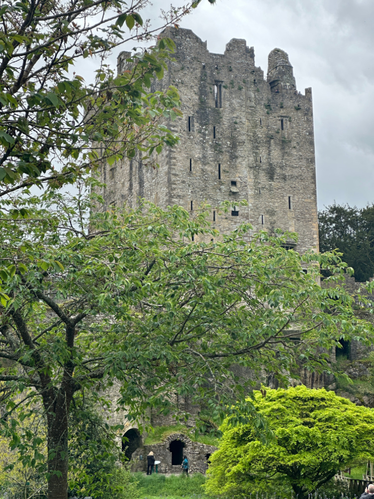 Blarney PIN Blarney PIN