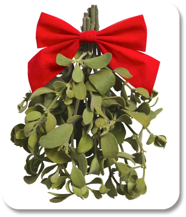 Irish Christmas Traditions - Mistletoe