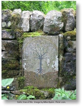 Irish Expressions:  Irish Symbols.  Image of Tree of Life on a stone, courtesy of Flickr.com.