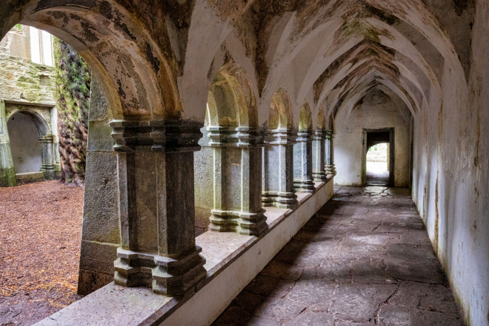 Muckross Abbey Cloister